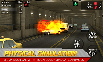 Physical simulation